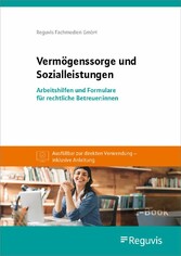 Vermögenssorge und Sozialleistungen (E-Book)