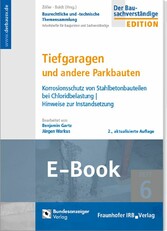 Tiefgaragen und andere Parkbauten (E-Book)