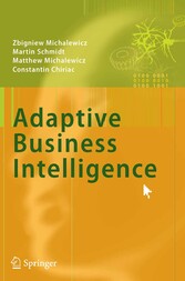 Adaptive Business Intelligence