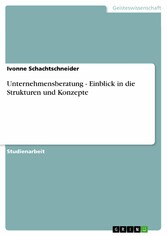 Unternehmensberatung - Einblick in die Strukturen und Konzepte