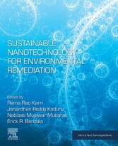 Sustainable Nanotechnology for Environmental Remediation