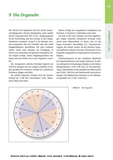 Praxis-Lehrbuch Akupunktur