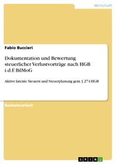 Dokumentation und Bewertung steuerlicher Verlustvorträge nach HGB i.d.F. BilMoG