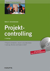 Projektcontrolling