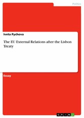 The EU External Relations after the Lisbon Treaty