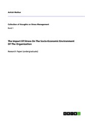 The Impact Of Stress On The Socio-Economic Environment Of The Organization