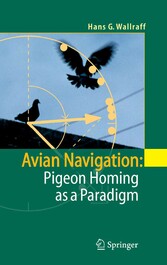 Avian Navigation: Pigeon Homing as a Paradigm