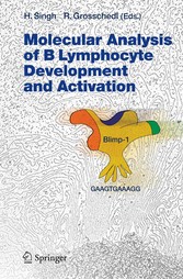 Molecular Analysis of B Lymphocyte Development and Activation