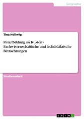 Reliefbildung an Küsten - Fachwissenschaftliche und fachdidaktische Betrachtungen