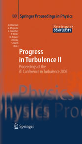 Progress in Turbulence II