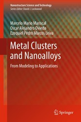 Metal Clusters and Nanoalloys