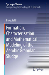 Formation, characterization and mathematical modeling of the aerobic granular sludge