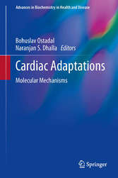 Cardiac Adaptations