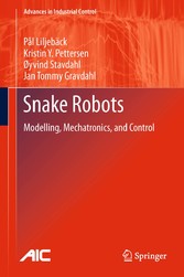 Snake Robots