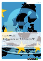 Realisierung der SEPA mit SAP