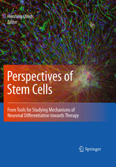 Perspectives of Stem Cells