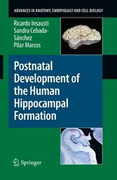 Postnatal Development of the Human Hippocampal Formation