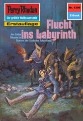 Perry Rhodan 1206: Flucht ins Labyrinth