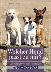 Welcher Hund passt zu mir?