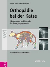 Orthopädie bei der Katze