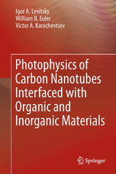 Photophysics of Carbon Nanotubes Interfaced with Organic and Inorganic Materials