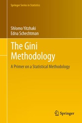 The Gini Methodology