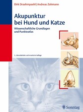 Akupunktur bei Hund und Katze