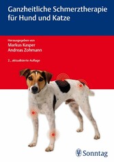 Ganzheitliche Schmerztherapie für Hund und Katze