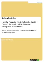 Has the Financial Crisis Induced a Credit Crunch for Small and Medium-Sized Enterprises in Germany?