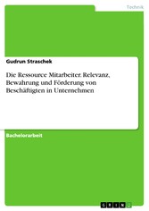 Die Ressource Mitarbeiter. Relevanz, Bewahrung und Förderung von Beschäftigten in Unternehmen