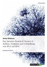 Das Internet Protokoll Version 6: Aufbau, Funktion und Umstellung von IPv4 auf IPv6