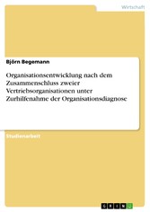 Organisationsentwicklung nach dem Zusammenschluss zweier Vertriebsorganisationen unter Zurhilfenahme der Organisationsdiagnose