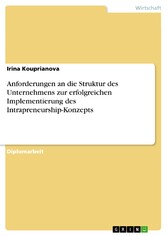 Anforderungen an die Struktur des Unternehmens zur erfolgreichen Implementierung des Intrapreneurship-Konzepts