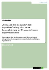 'Work and Box Company' statt Jugendstrafvollzug. Alternative Resozialisierung als Weg aus schwerer Jugenddelinquenz