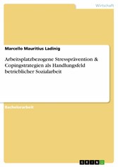 Arbeitsplatzbezogene Stressprävention & Copingstrategien als Handlungsfeld betrieblicher Sozialarbeit