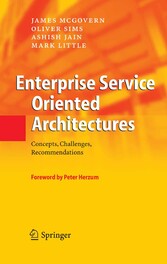 Enterprise Service Oriented Architectures