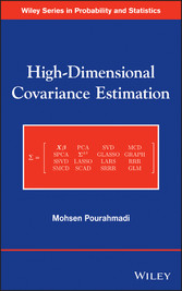 High-Dimensional Covariance Estimation