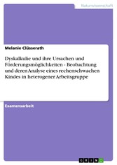 Dyskalkulie und ihre Ursachen und Förderungsmöglichkeiten - Beobachtung und deren Analyse eines rechenschwachen Kindes in heterogener Arbeitsgruppe