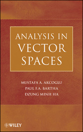 Analysis in Vector Spaces,