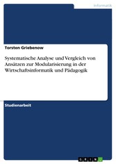 Systematische Analyse und Vergleich von Ansätzen zur Modularisierung in der Wirtschaftsinformatik und Pädagogik