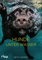 Hunde unter Wasser