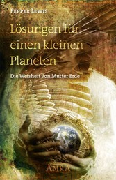 Lösungen für einen kleinen Planeten