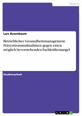 Betriebliches Gesundheitsmanagement. Präventionsmaßnahmen gegen einen möglich bevorstehenden Fachkräftemangel